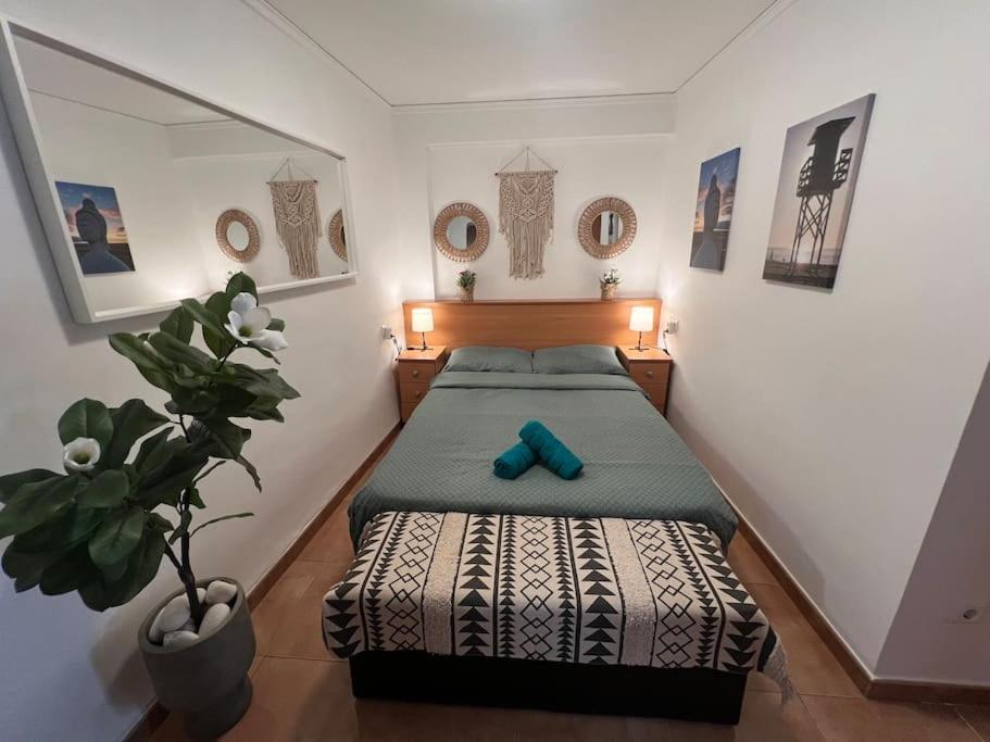 Apartamento Monika Playa Y Grau غانديا المظهر الخارجي الصورة